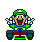 Luigi Kart